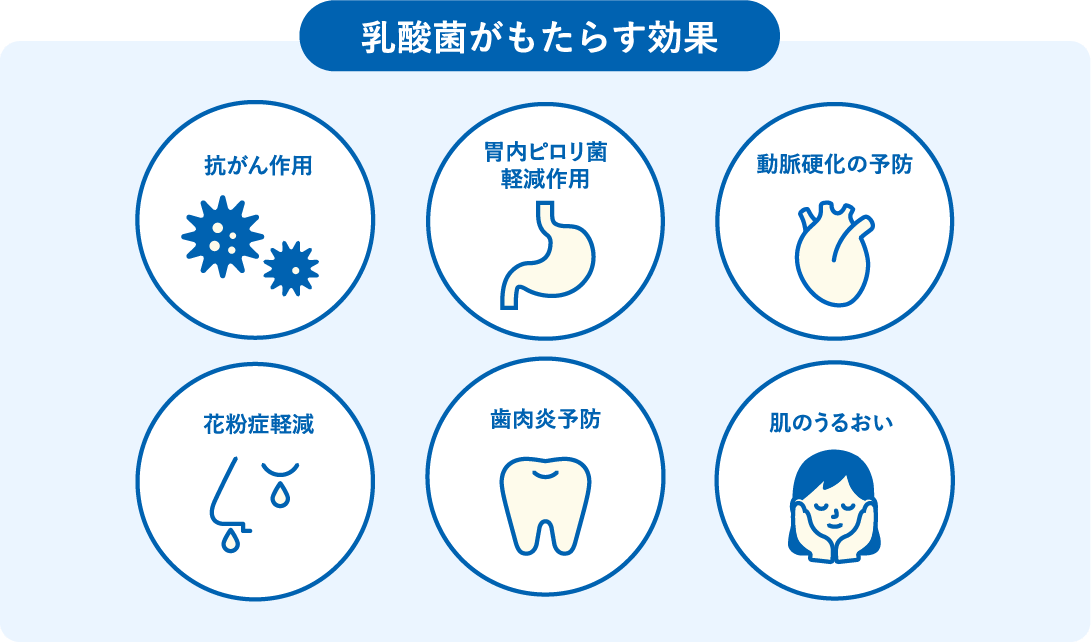 乳酸菌のすごい力