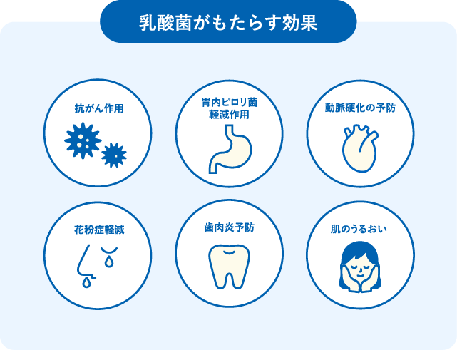 乳酸菌のすごい力